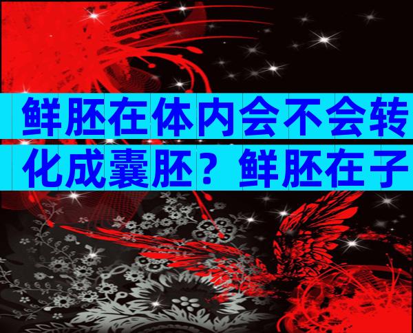 鲜胚在体内会不会转化成囊胚？鲜胚在子宫里会变成囊胚吗？
