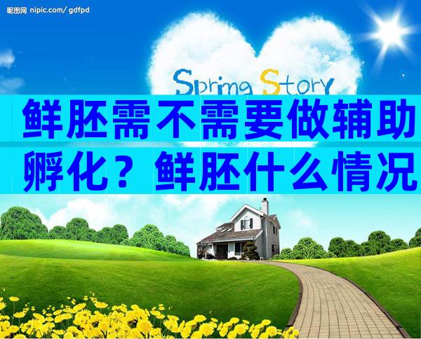 鲜胚需不需要做辅助孵化？鲜胚什么情况下做辅助孵化？