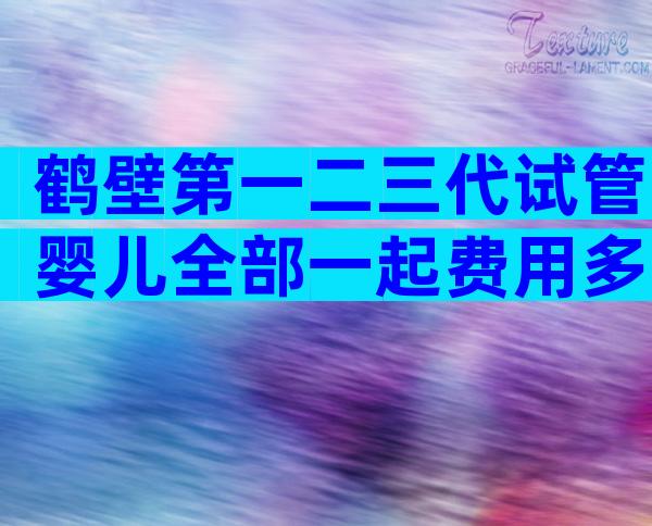 鹤壁第一二三代试管婴儿全部一起费用多少？有私立医院吗