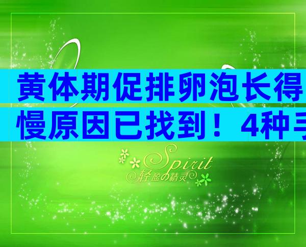 黄体期促排卵泡长得慢原因已找到！4种手段帮你解决