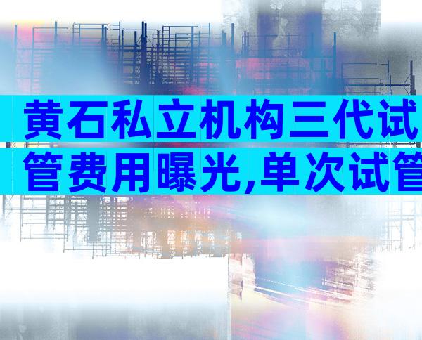 黄石私立机构三代试管费用曝光,单次试管费用要花费30万