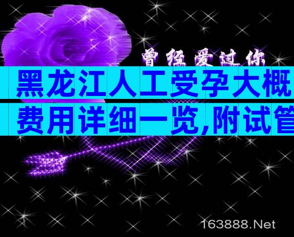 黑龙江人工受孕大概费用详细一览,附试管清单公布!
