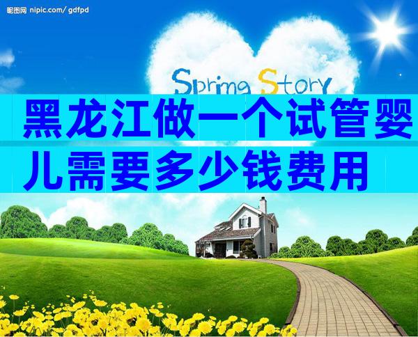 黑龙江做一个试管婴儿需要多少钱费用