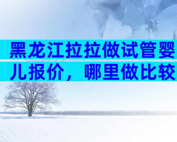 黑龙江拉拉做试管婴儿报价，哪里做比较好？