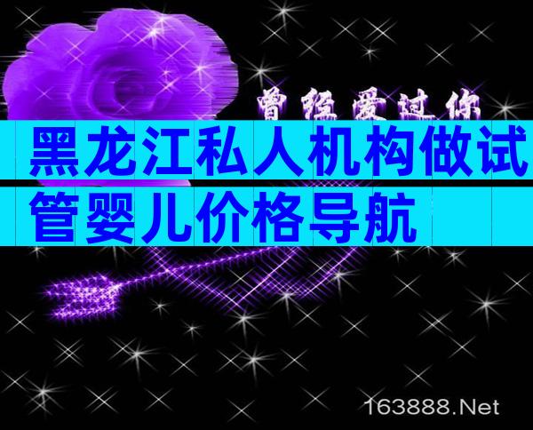 黑龙江私人机构做试管婴儿价格导航